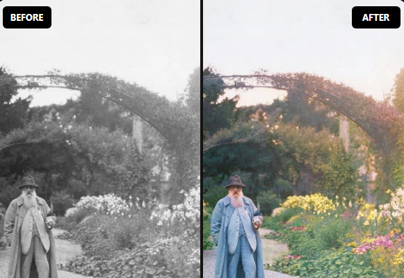 Palette AI Photo Colorizer